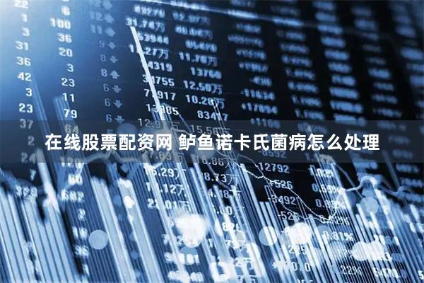 在线股票配资网 鲈鱼诺卡氏菌病怎么处理