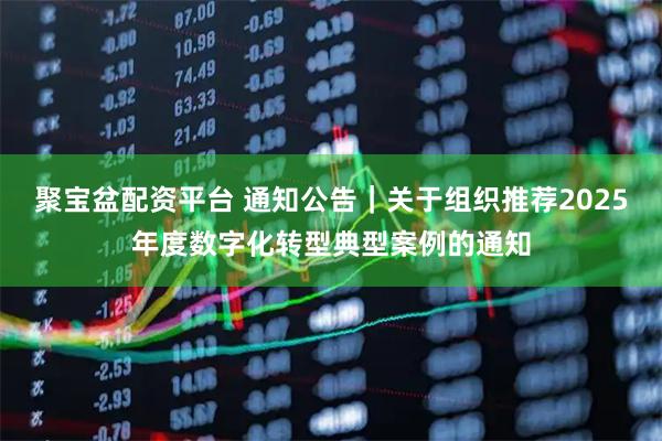 聚宝盆配资平台 通知公告｜关于组织推荐2025年度数字化转型典型案例的通知