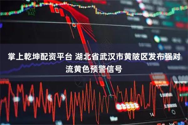 掌上乾坤配资平台 湖北省武汉市黄陂区发布强对流黄色预警信号